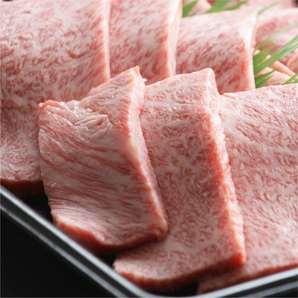 鳥取和牛オレイン55【焼肉】肩ロース