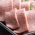 鳥取和牛オレイン55【焼肉】肩ロース
