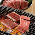 鳥取和牛オレイン55【焼肉】肩ロース
